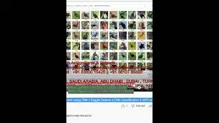 Bird Species Classification using CNN _ Kaggle Dataset _ CNN classification _ MATLAB code