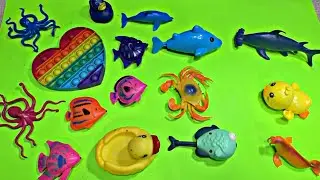 🐳 ASMR_Video * Octopus, Duck, Dolphin,Shark, Fish, Crab, Seal I No Talking *