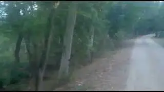 chak amru to sukho chak