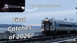First Catches Of 2026 At Scarborough ft. 203 Lights Train