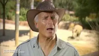 The Show - May 12, 2011 - Orlando Attractions Magazine - Episode 24