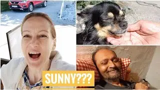 Cutest dog at Paga Hotel Aidenbach in Germany | Indian Foreigner Couple Vlog