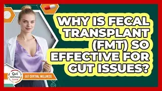Why Is Fecal Transplant (FMT) So Effective For Gut Issues? - Gut Wellness Central