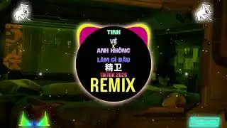 一颗狼星 - 精卫DJ2026 Tinh Vệ x Anh Kh&ocirc;ng L&agrave;m G&igrave; Đ&acirc;u Anh Thề x Jingwei 关中王进行曲  (Wanji Edit Remix Tiktok)