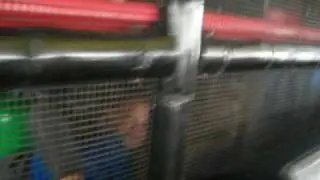 Ed White Gone Wild