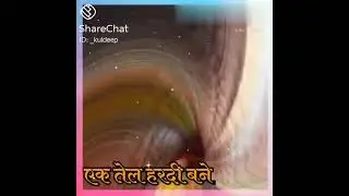 Ek tel hardi chaghaye