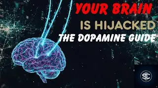 Your Brain Is Being Hijacked (A Guide to Dopamine, Mood & Focus)