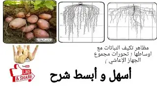 مظاهر تكيف النباتات مع اوساطها سنة ثانية متوسط علوم طبيعية #2 #متوسط #science