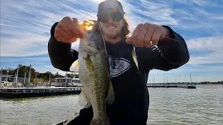 BFS Jerkbaiting is a BLAST |Eagle Mountain Cold Fall BFS Fishing|