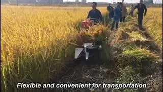 4GL120 RICE REAPER