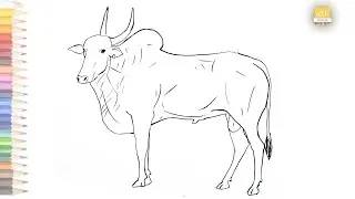 Khillari Bull outline drawing / How to draw A Khillari cattle drawing step by step / #artjanag