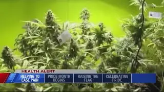 New research shows Cannabis has negative effects on heart health