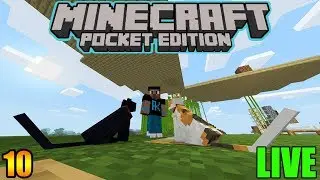 MCPE/Bedrock : 