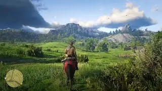 Rdr2 - Only hardcore Red Dead players will identify this place