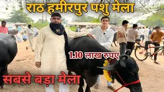 पशु मेला राठ हमीरपुर || Rath Hamirpur pet animals market || #petmarket #up91 @Rathkavloger_113 