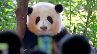 8.27 女明星花花被大家近距离围观仍保持微笑😊果然是见过大场面的顶流明星✨