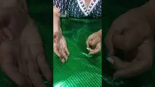 Simpatia Espiritual para tirar as dores no corpo por inveja e mau olhado.