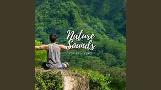 Nature Vibes