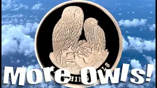 NEW LAUGHING OWLS #silverround ... decoration for my video background, new lights, new coin box!