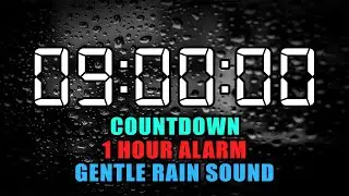 9 Hours Countdown Timer and 1 Hour Alarm ~ 100% Wake Up Guarantee! (with RELAXING GENTLE RAIN Sound)