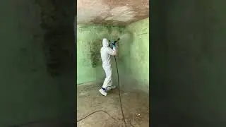 Miami Mold Specialist