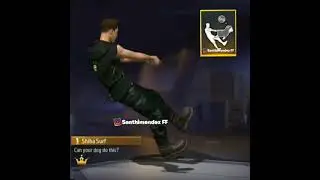 Shiba Surf Emote Moveable Emote