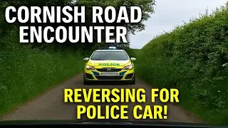 Cornish Road Encounter | Reversing for Police Car on Tight Single-Track Lane