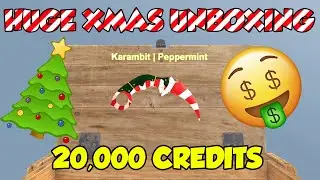 HUGE CHRISTMAS CASE UNBOXING! (20K CREDITS) | Counter Blox