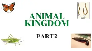 focus area plus one zoology//animal kingdom part2//annelida--echinodermata