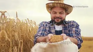 U.S. Wheat Shipments Rejected &mdash; Bu