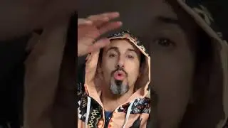 كيف تتصرف اذا مرض الببغاء بالزكام؟