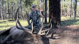 Arizona Archery Elk Hunt: 