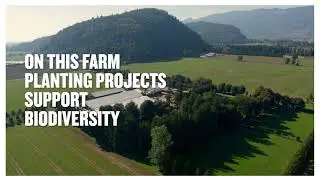 Hey Dairy Farmer: Planting Projects