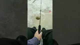 🎣 Waking up early to try and catch a big one! #icefishing #snowmobiling #ontario #getoutside