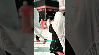 best qweeli