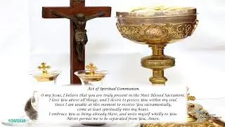 Nativity Catholic Church | Sunday Mass Stream
