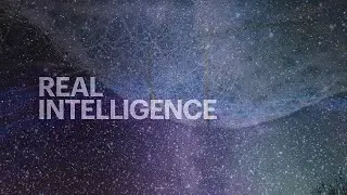 Real Intelligence | Video Product Extract | Barry Long