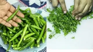 ধনে পাতা ও কাচাঁ মরিচ সংরক্ষণ | How to Store Coriander & Green Chilli