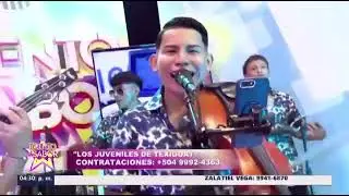 Juveniles de texiguat- La cocaleca.