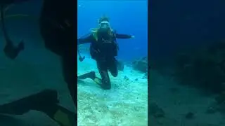 Open Water Dive Course #diving #underwater #wakatobinationalpark #wakatobi #divewakatobi