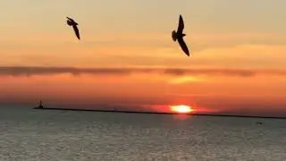 Relax music (No copyright) Бердянск #море #sea #relax #бердянск