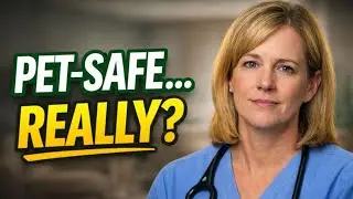 What Veterinarians Actually Worry About With 