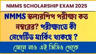 Negative marking in NMMS exam 2025