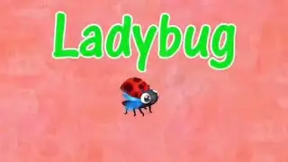 I Pick-up the Ladybug and Dragonfly W/Effect Sponsored by: Gamavision Csupo effects