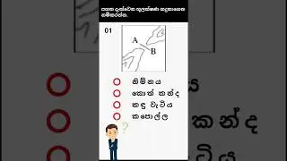 8 ශ්&zwj;රේණිය භූගෝල විද්&zwj;යාව අවසාන වාරය පිංතූර ආශ්&zwj;රිත අනුමාන ප්&zwj;රශ්න 5ක් #grade8 #geography #exampepar