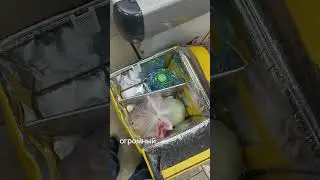 Из курьера в АйТи в 30. Получится ли?