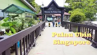 Pulau Ubin Trip 🏝 - 🚤 Boat Ride to Pulau Ubin Island Singapore | Pulau Ubin Island Vlog 🌞