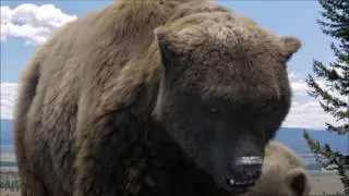 Sound Effects - Cave Bear