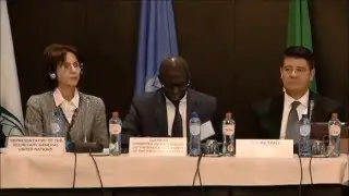 International Meeting on the Question of Palestine, Brussels, 7-8 Sept 2015 - Mr. Fod&eacute; Seck