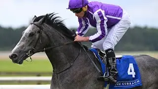 &euro;400,000 colt DORSET looks exciting for Aidan O'Brien | Racing TV
